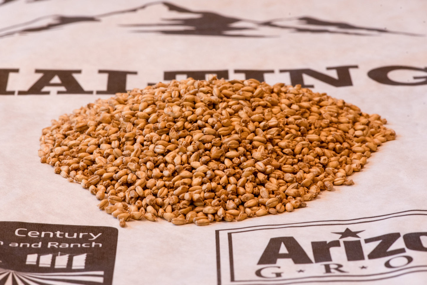 Padre Kino malted White Sonora heritage wheat on a Homestead Malting bag
