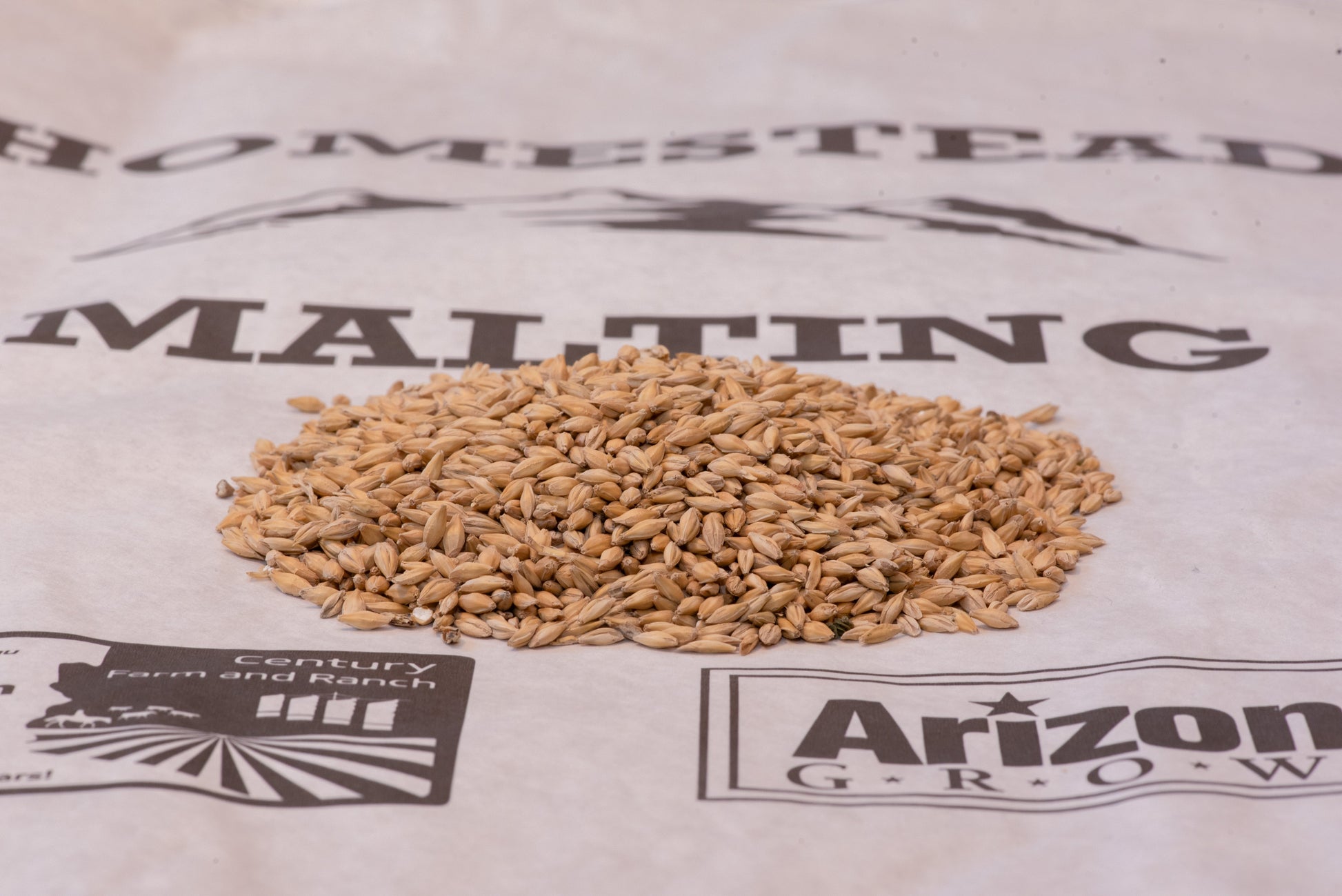 Bohemian Mesa Czech-style pilsner malt — Copeland 2-row barley kernels on a Homestead Malting bag
